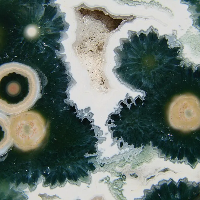 Ocean Jasper Tumble Stone