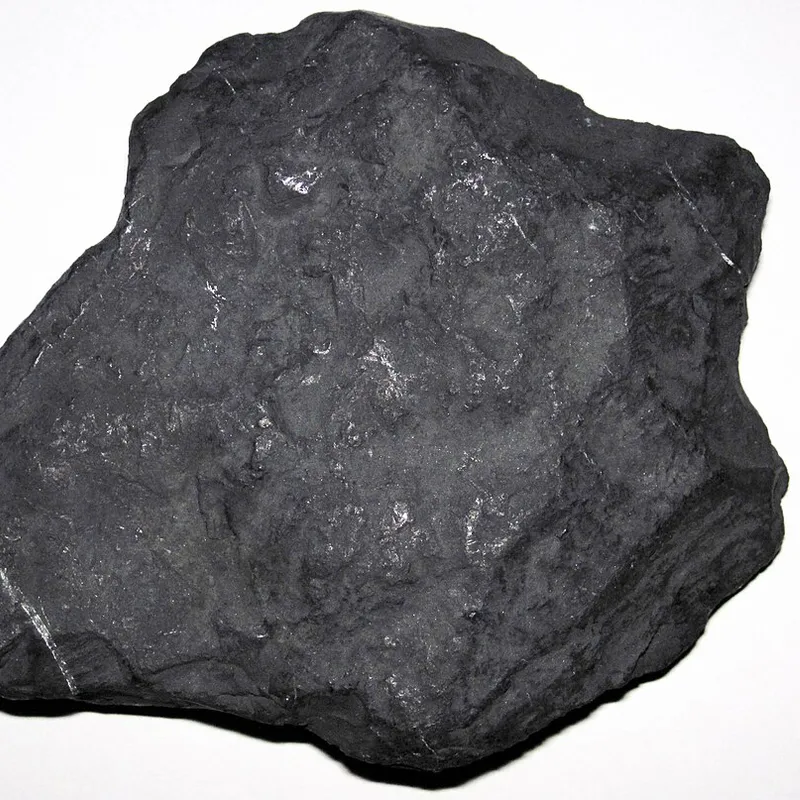 Shungite Tumble Stone