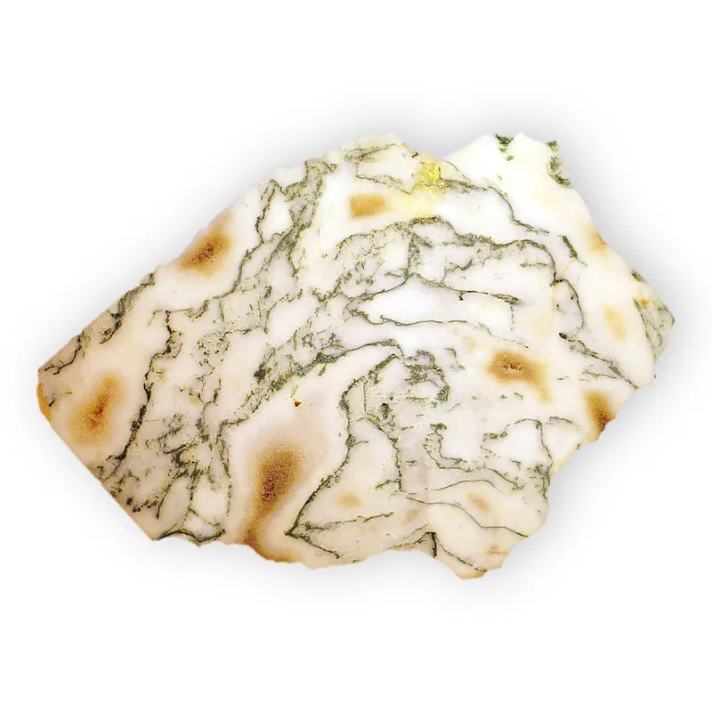 Tree Agate Tumble Stone