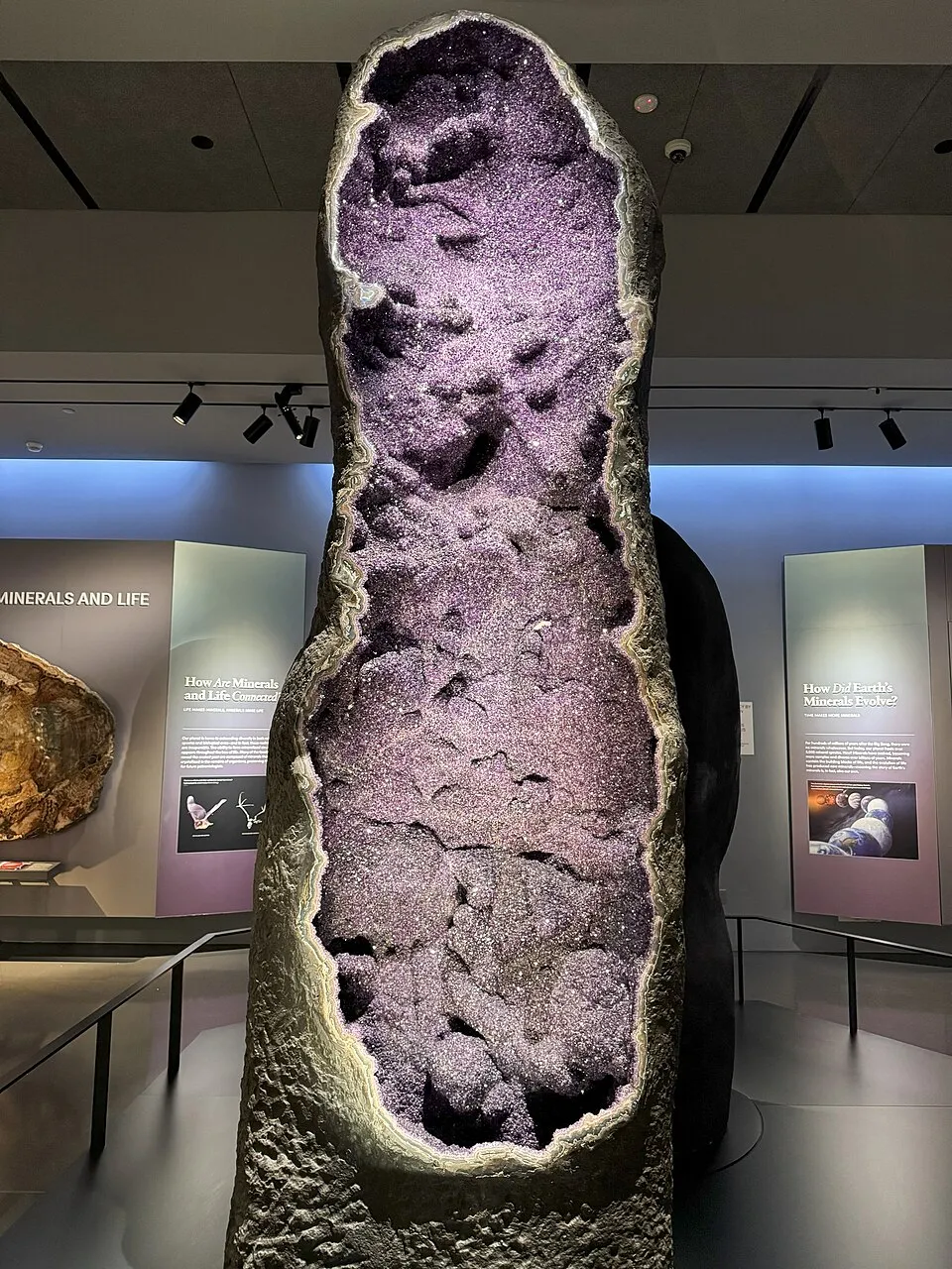 The Sanctuary amethyst geode