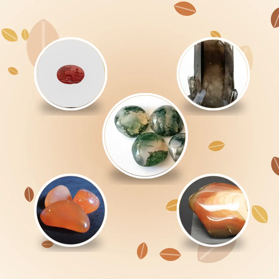 Deluxe Harvest Ritual Box