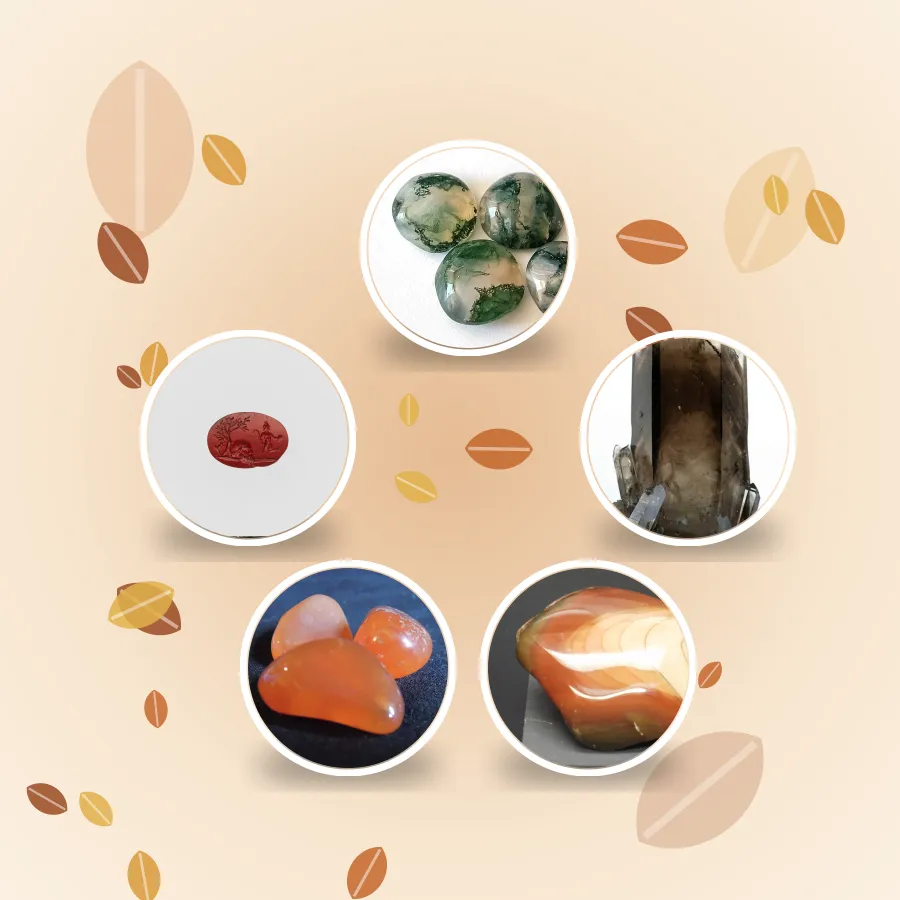 Harvest Gift Pack (5 pouches)
