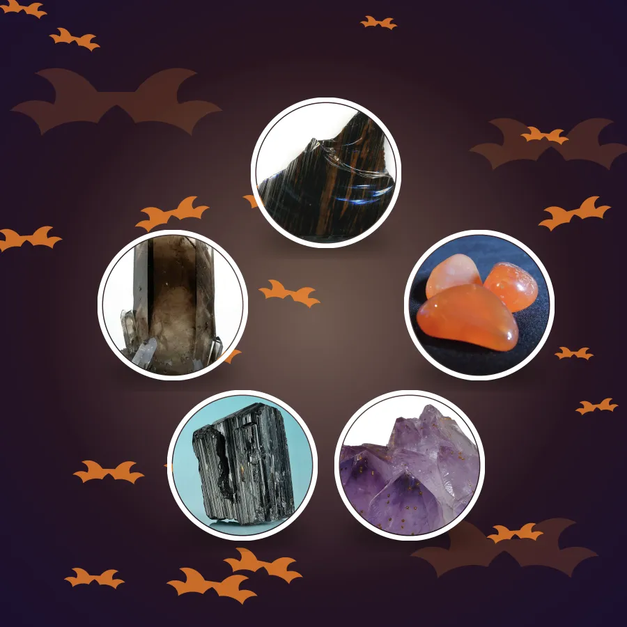 Halloween Gift Pack (5 pouches)