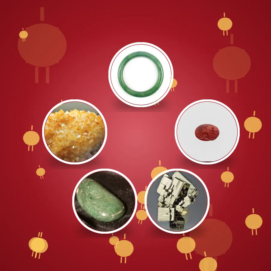 Lunar New Year Gift Pack (5 pouches)